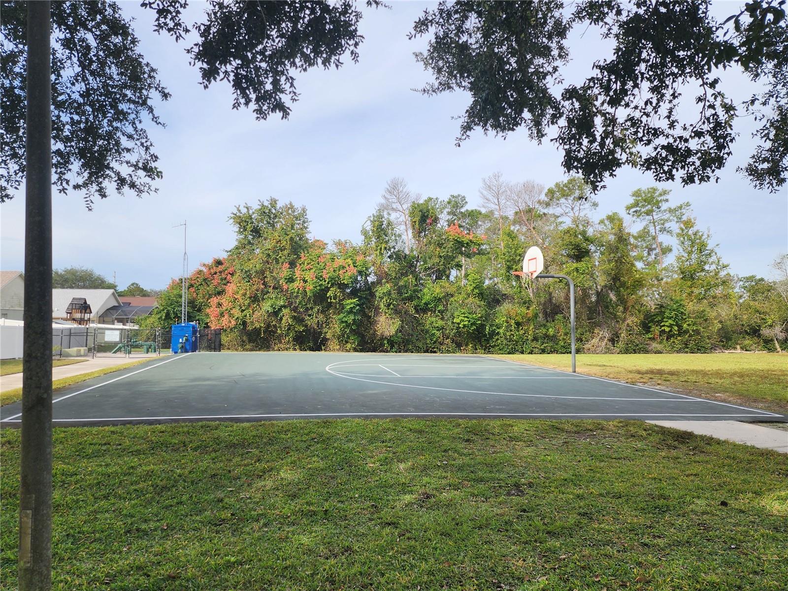 Image 32 of 40 For 3232 Alling Court