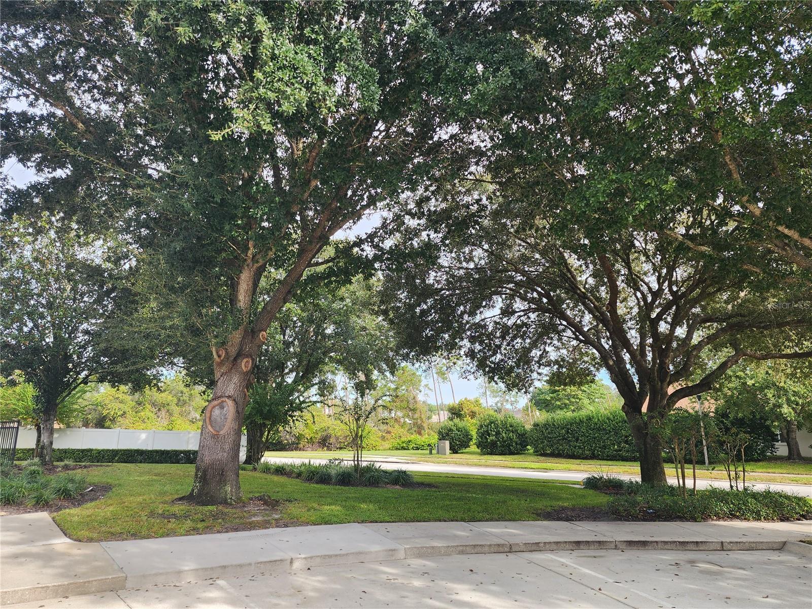 Image 34 of 40 For 3232 Alling Court