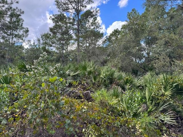 Listing Details for  12th Avenue , DELAND, FL 32724