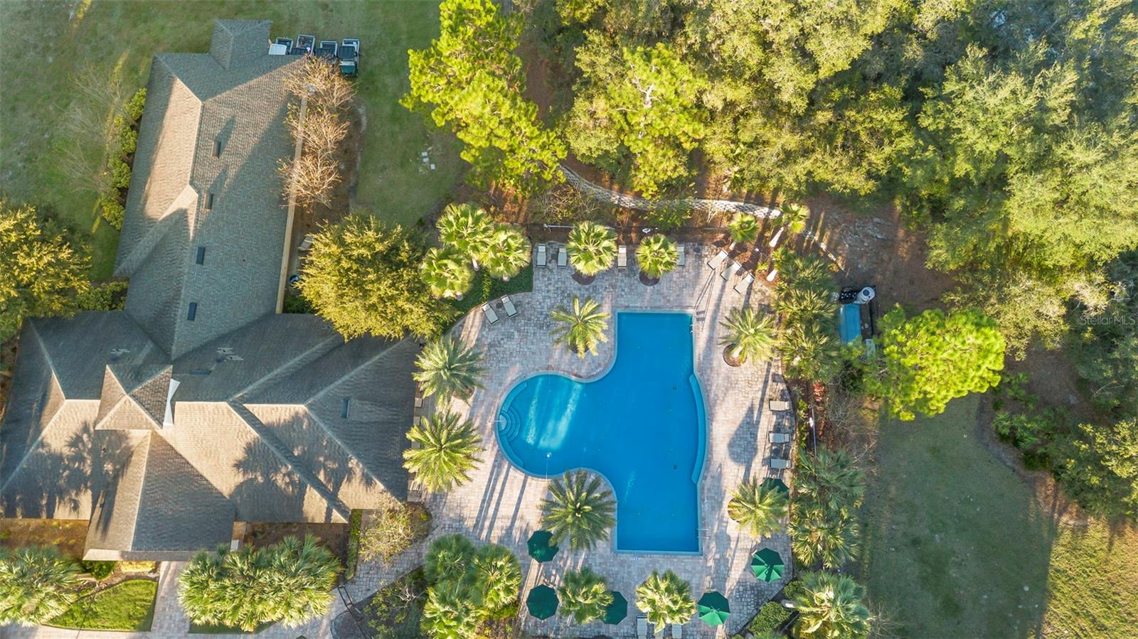 Image 54 of 54 For 1559 Scrub Jay Court