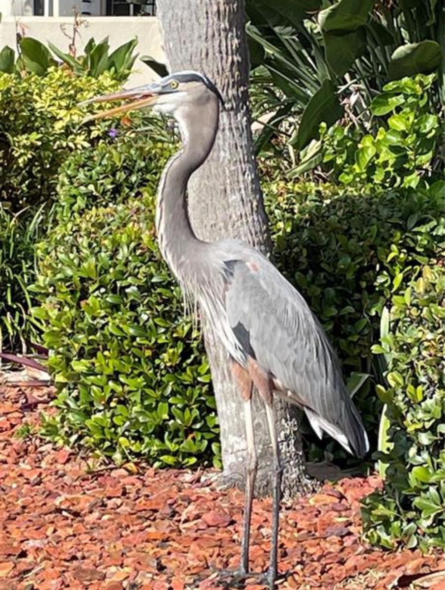 Image 42 of 43 For 2801 Halifax Avenue 146