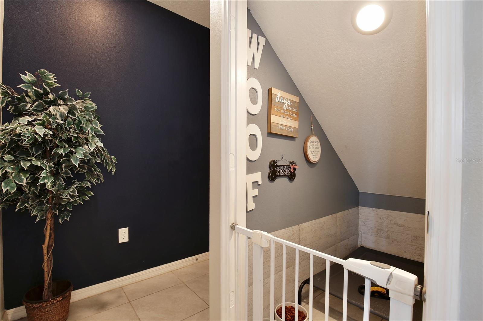 Image 21 of 54 For 411 Lazio Circle