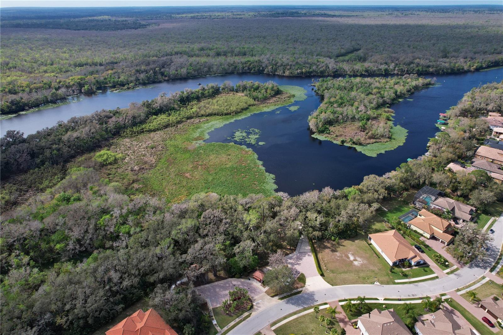 Image 38 of 54 For 411 Lazio Circle