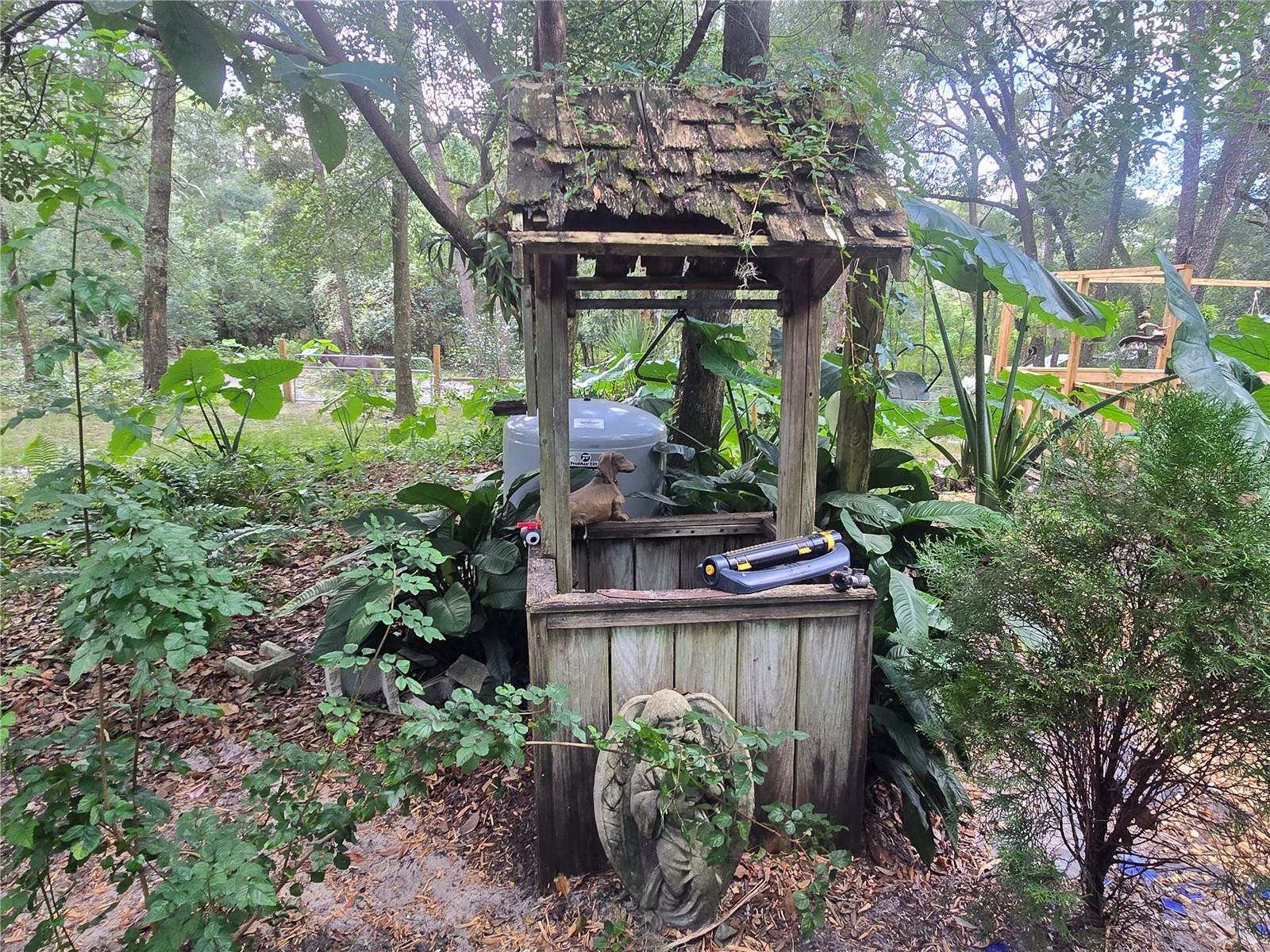 Image 37 of 86 For 940 Minnesota Avenue