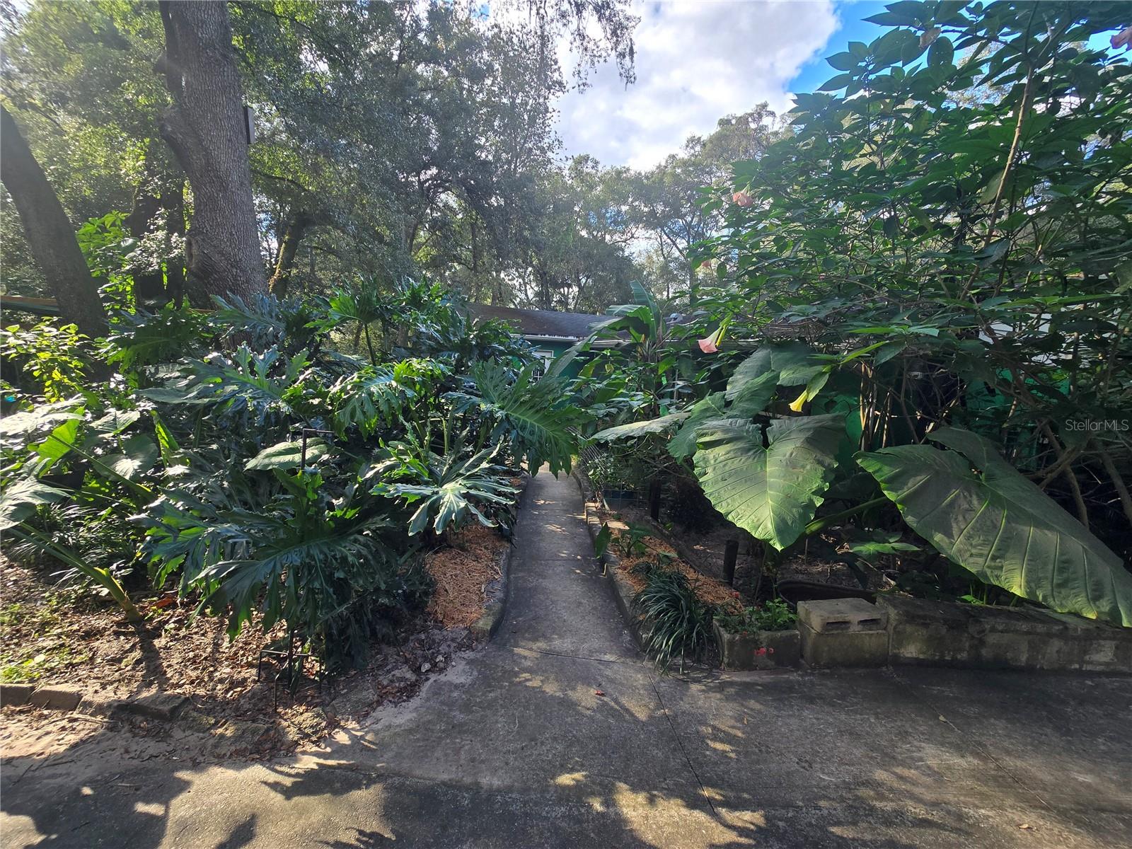 Image 47 of 86 For 940 Minnesota Avenue