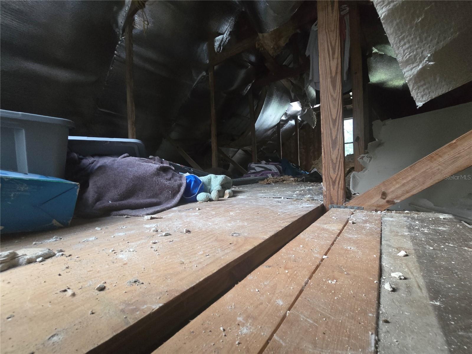 Image 51 of 86 For 940 Minnesota Avenue