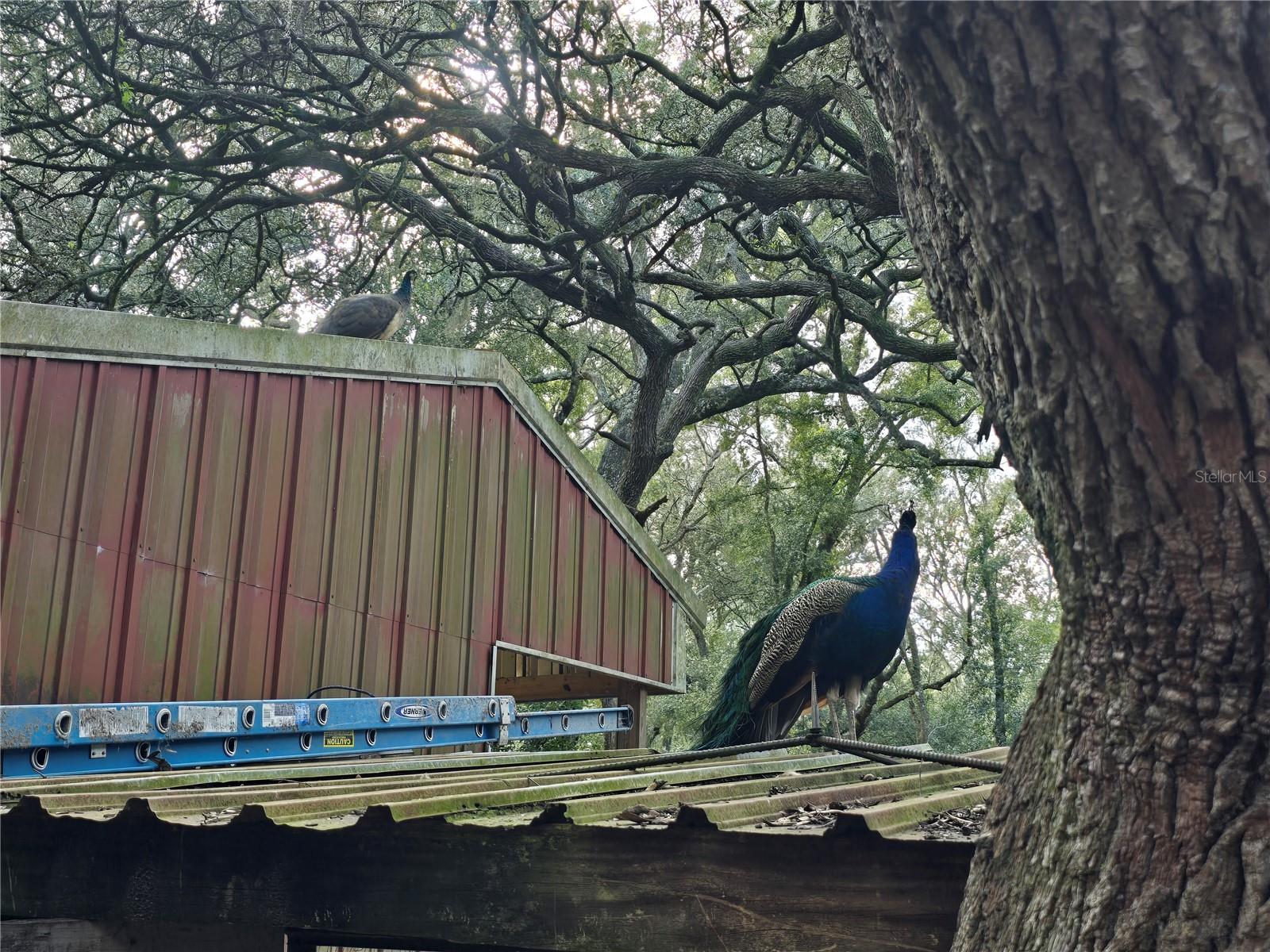 Image 57 of 86 For 940 Minnesota Avenue