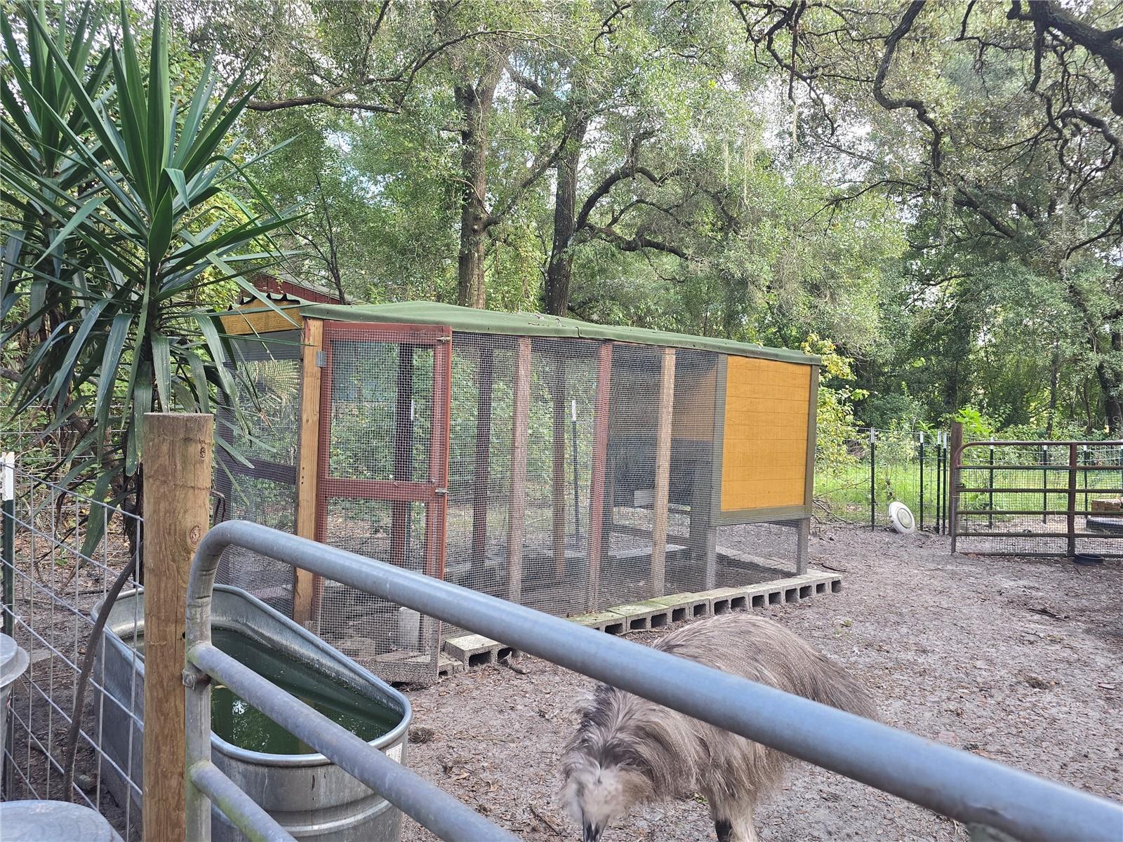 Image 58 of 86 For 940 Minnesota Avenue