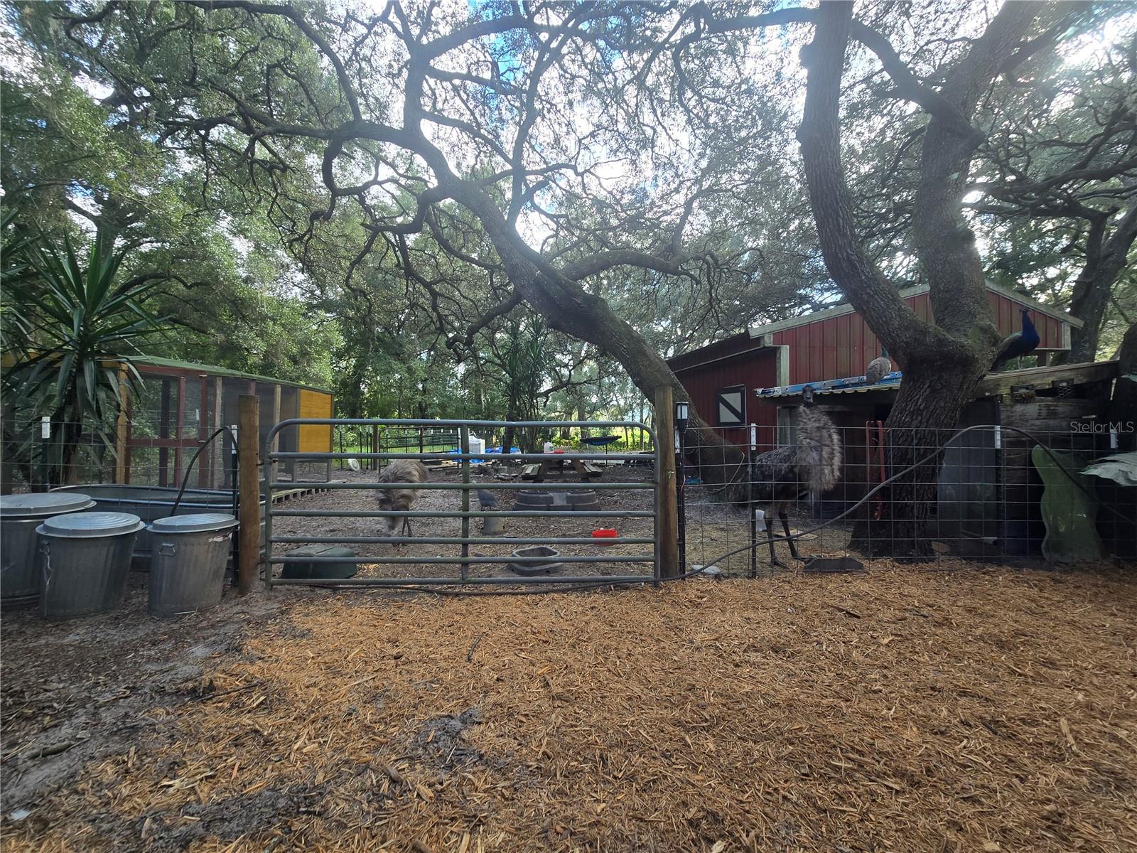 Image 59 of 86 For 940 Minnesota Avenue