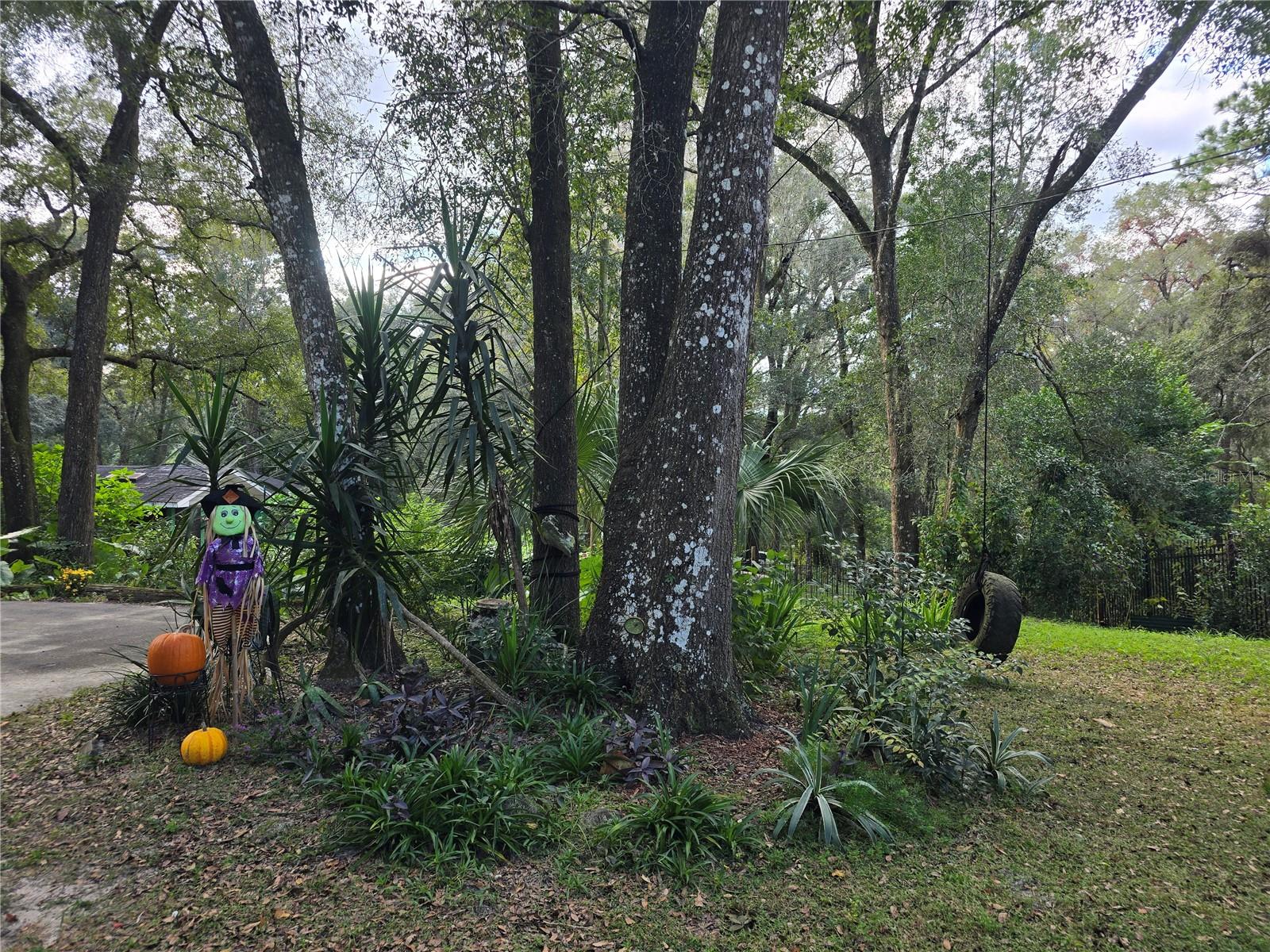 Image 64 of 86 For 940 Minnesota Avenue