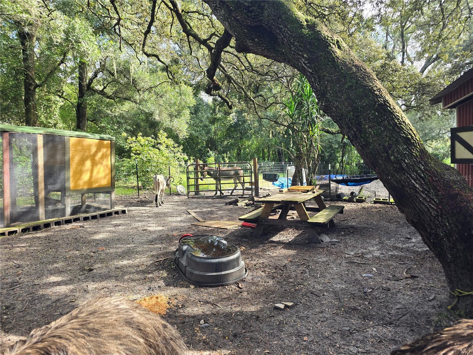 Image 66 of 86 For 940 Minnesota Avenue