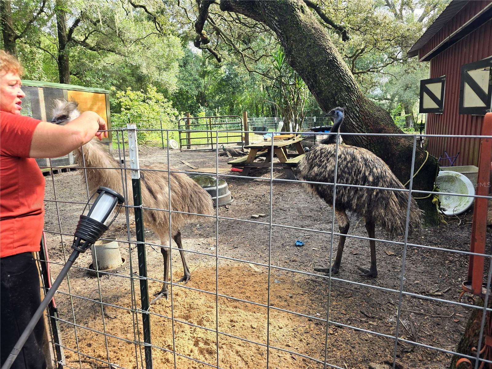 Image 67 of 86 For 940 Minnesota Avenue