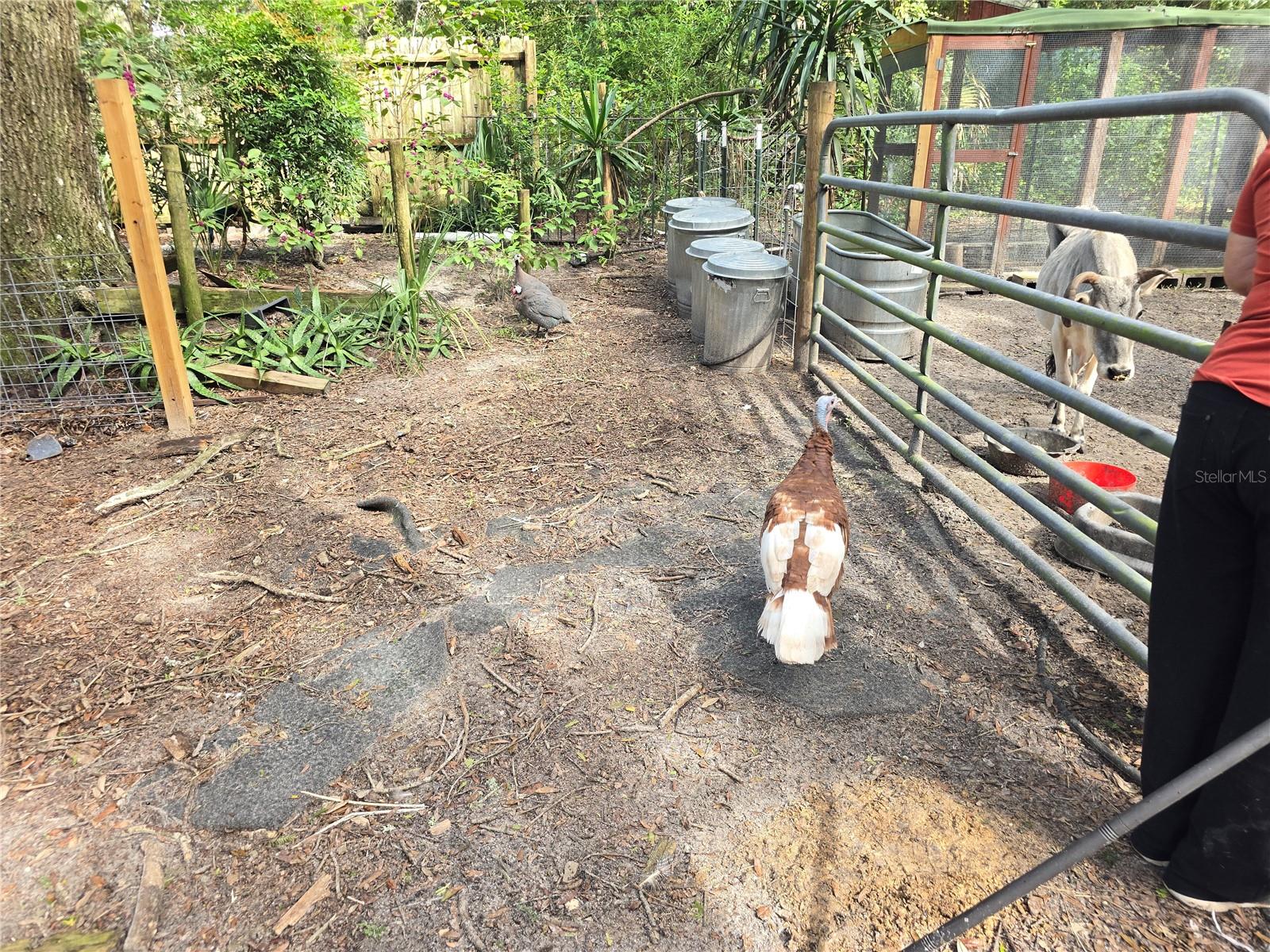 Image 68 of 86 For 940 Minnesota Avenue