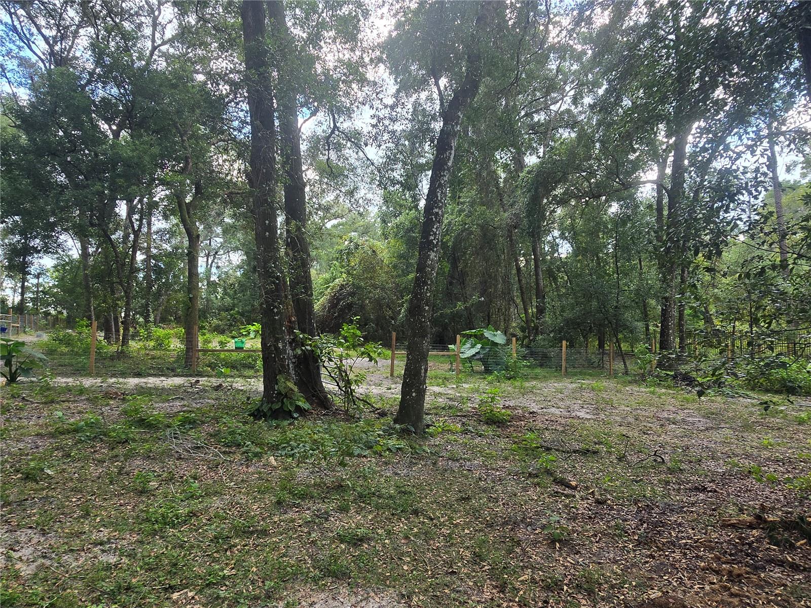 Image 69 of 86 For 940 Minnesota Avenue