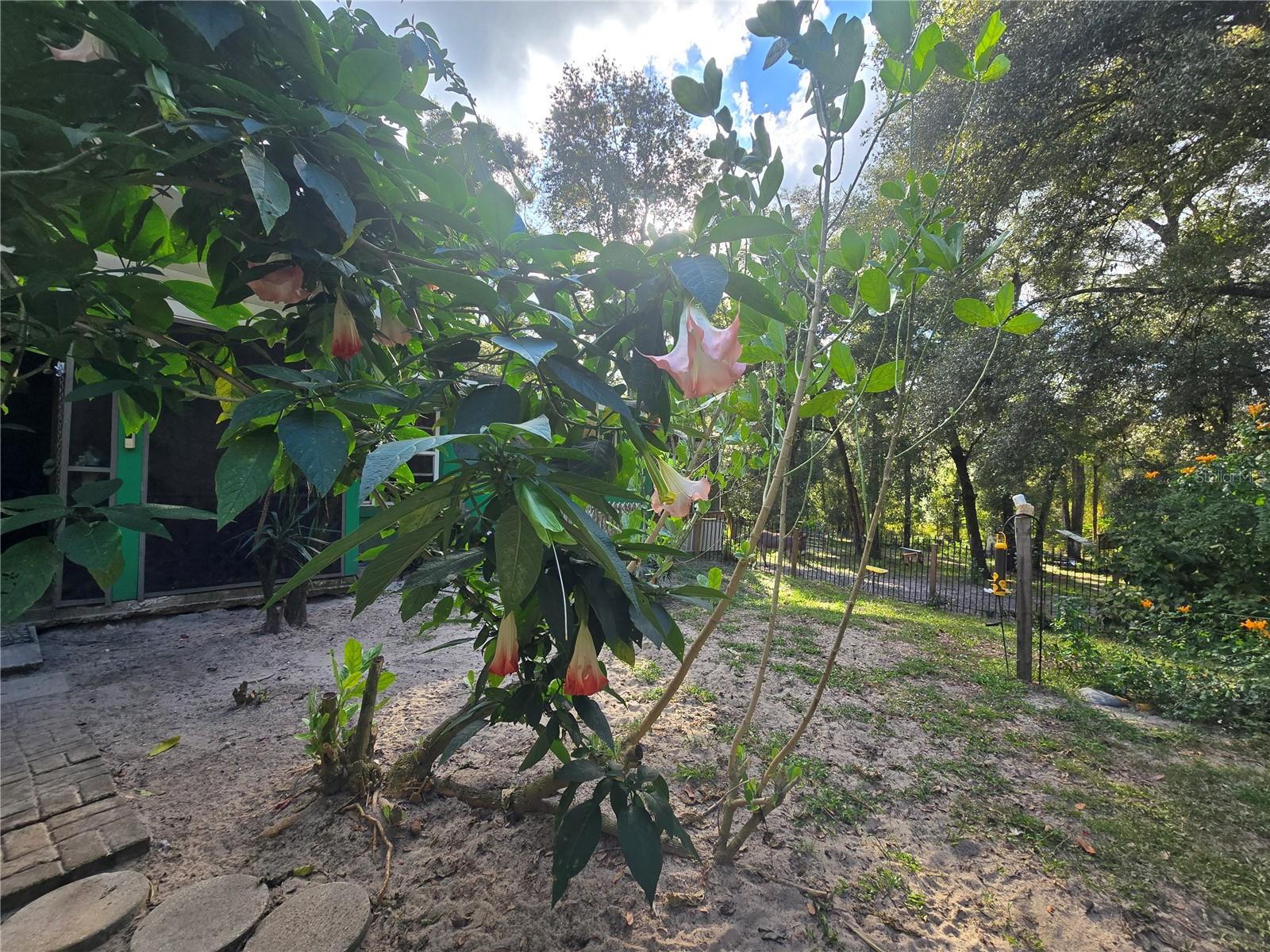 Image 72 of 86 For 940 Minnesota Avenue