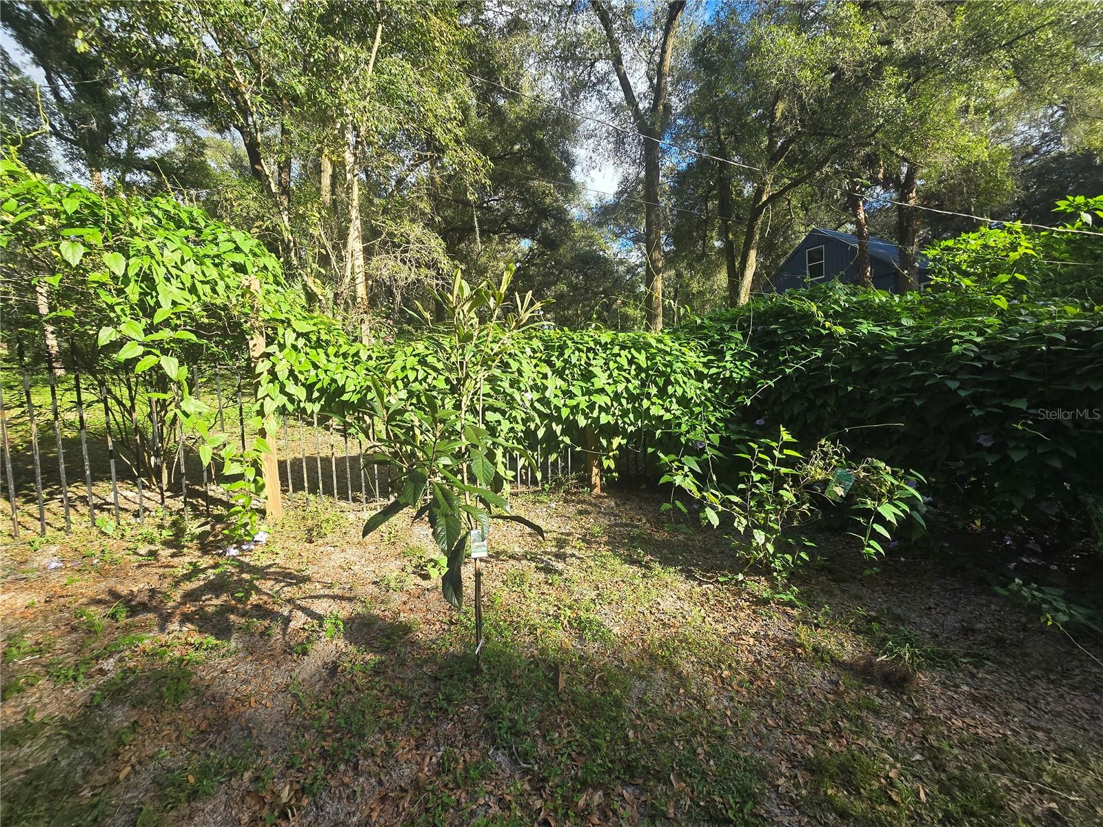 Image 76 of 86 For 940 Minnesota Avenue