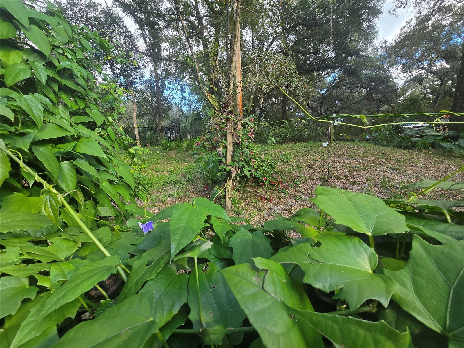 Image 78 of 86 For 940 Minnesota Avenue