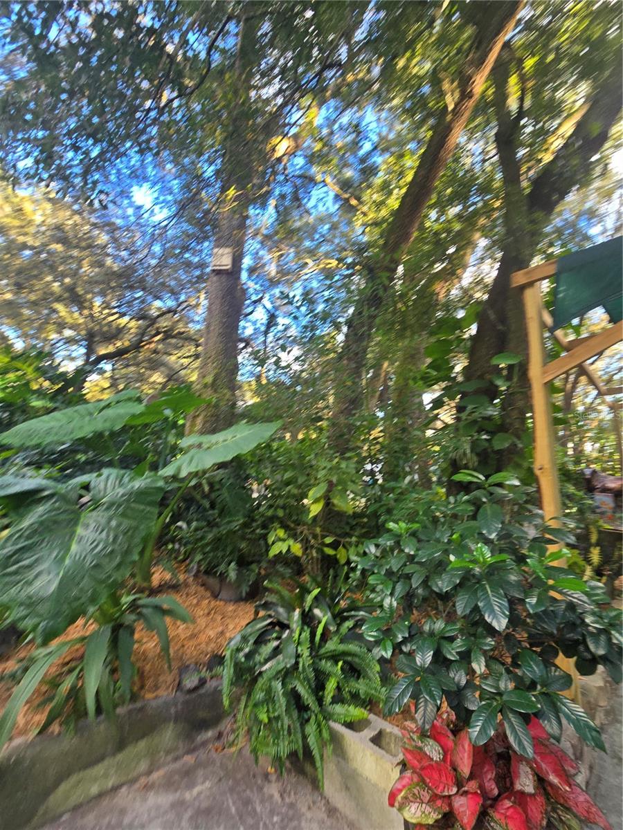 Image 85 of 86 For 940 Minnesota Avenue