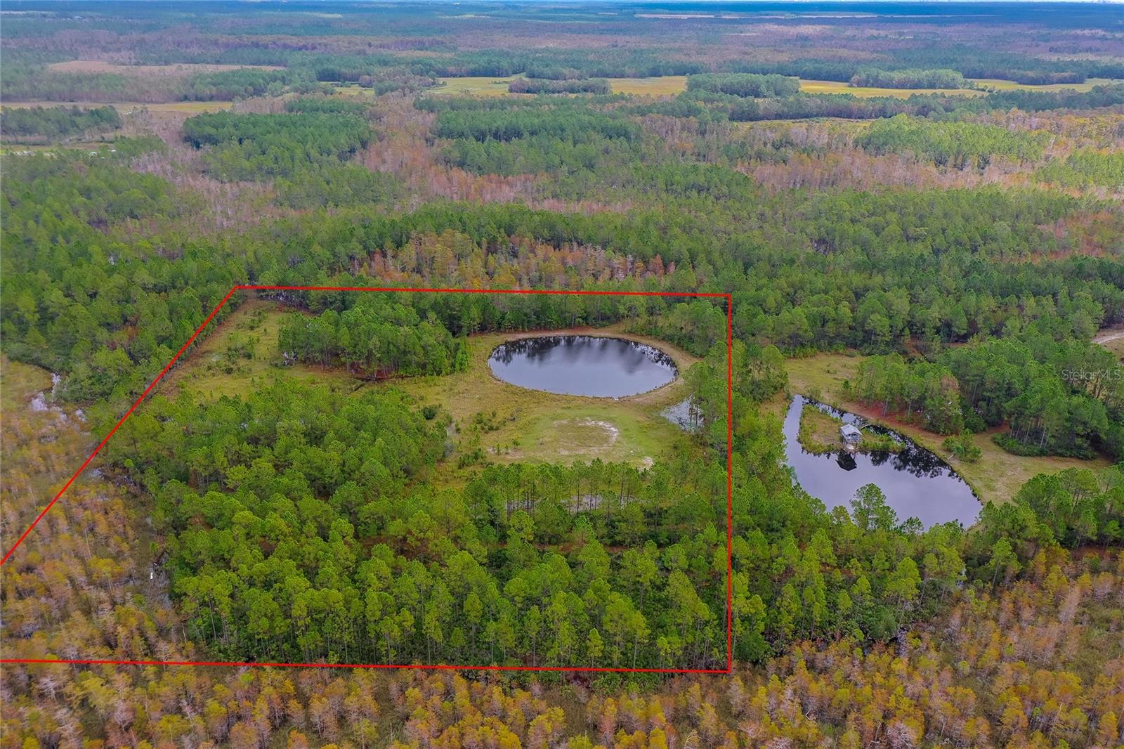 Image 2 of 8 For 265 Carter Trail