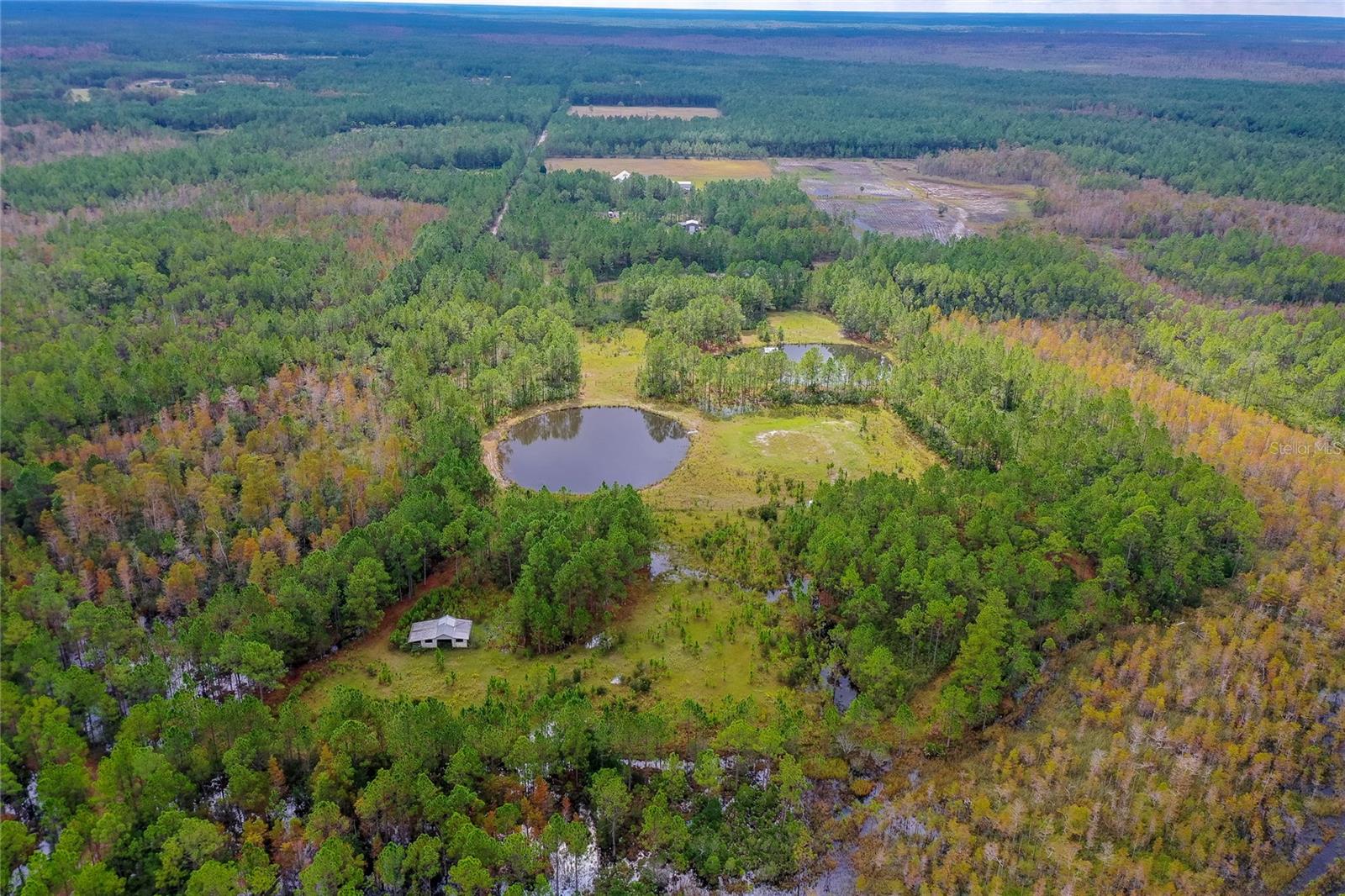 Image 4 of 8 For 265 Carter Trail