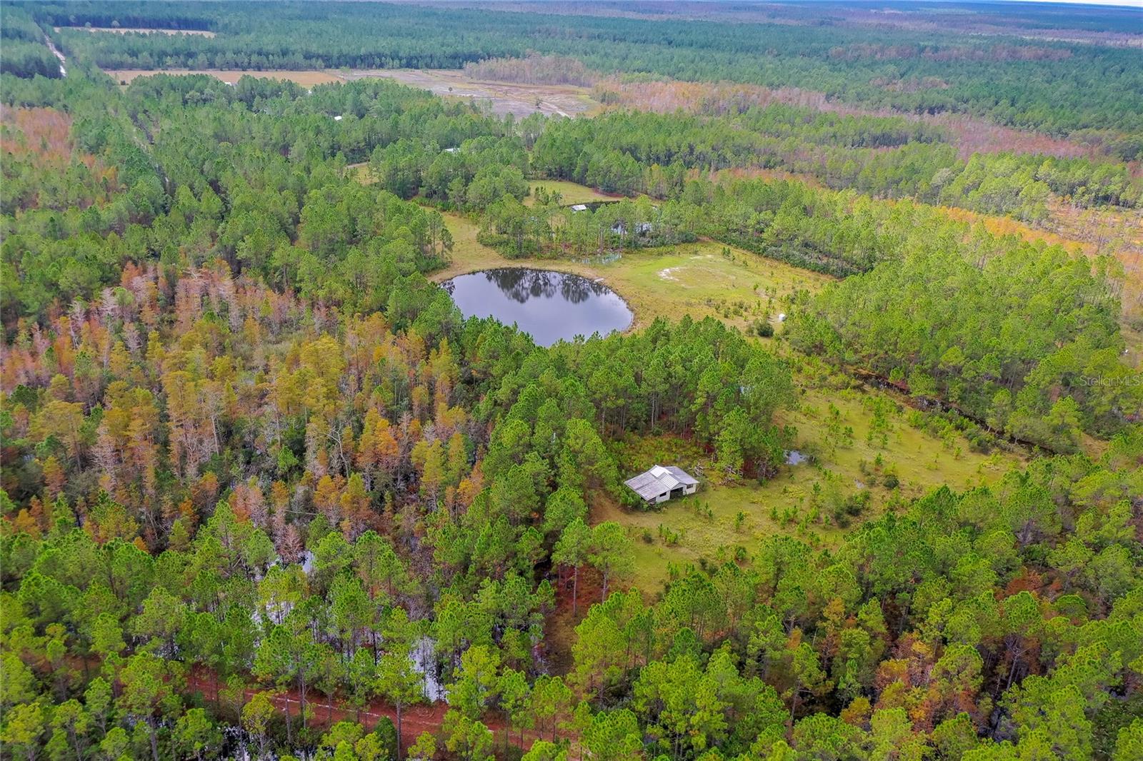 Image 5 of 8 For 265 Carter Trail