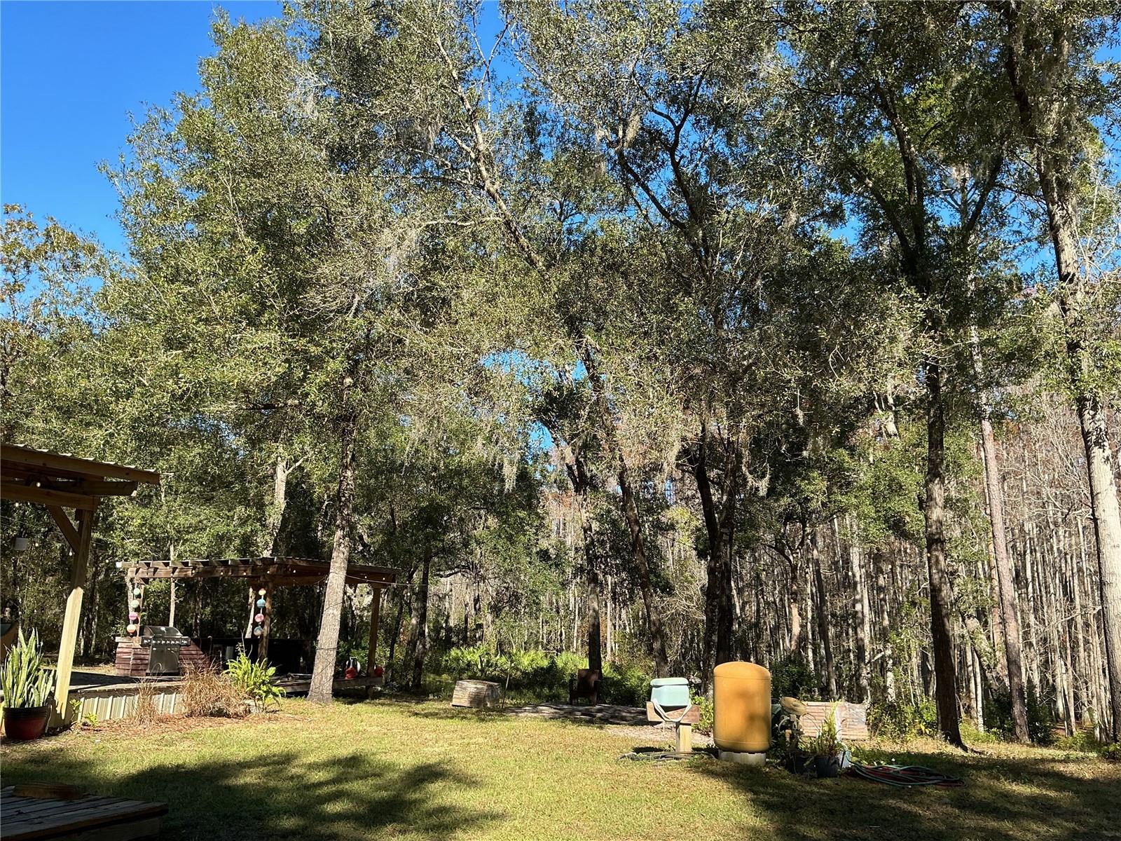 Image 16 of 39 For 2130 Kicklighter Road