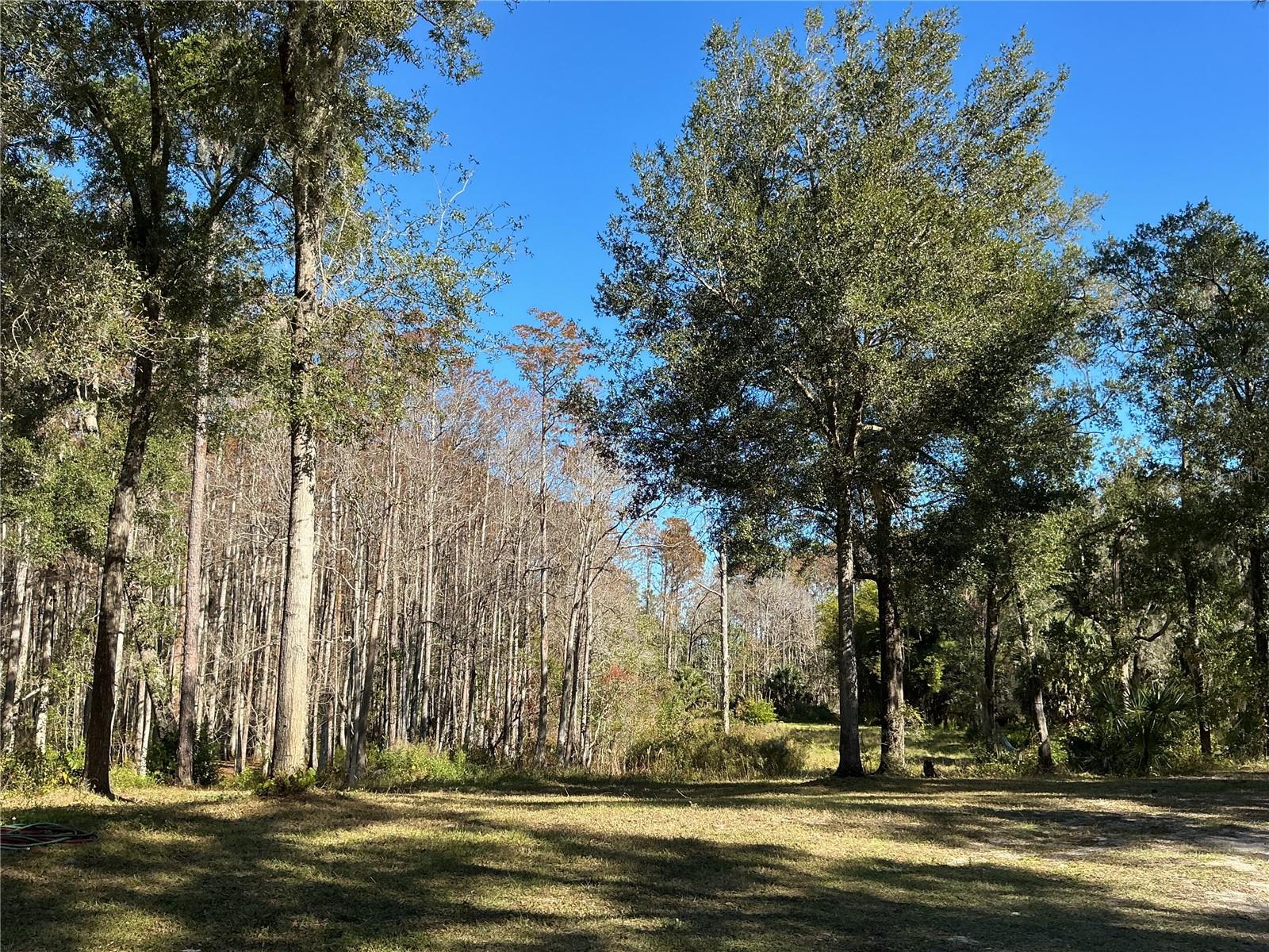 Image 20 of 39 For 2130 Kicklighter Road