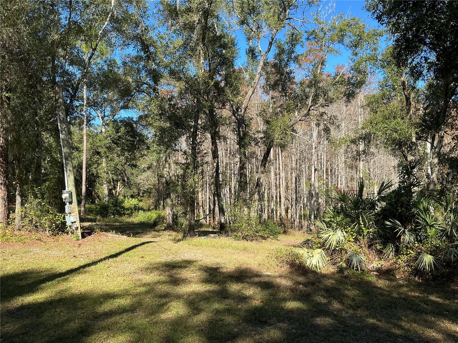 Image 25 of 39 For 2130 Kicklighter Road