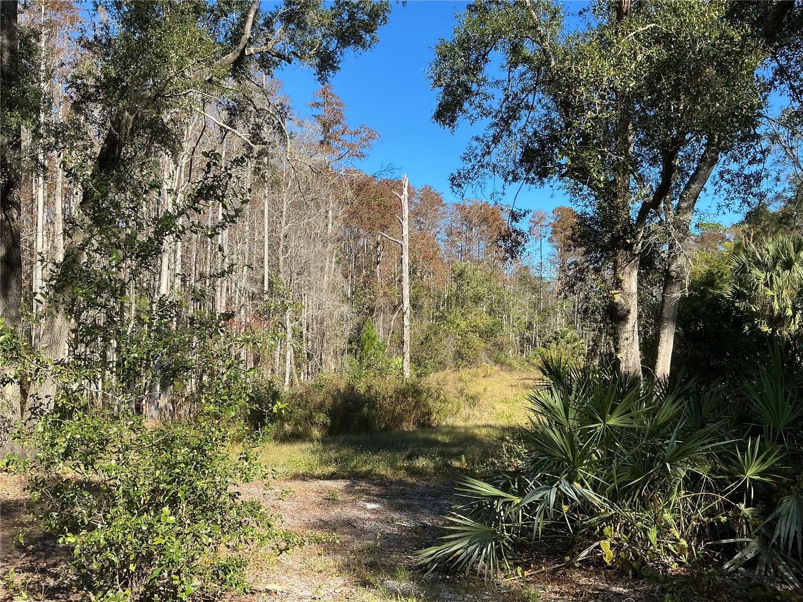 Image 28 of 39 For 2130 Kicklighter Road