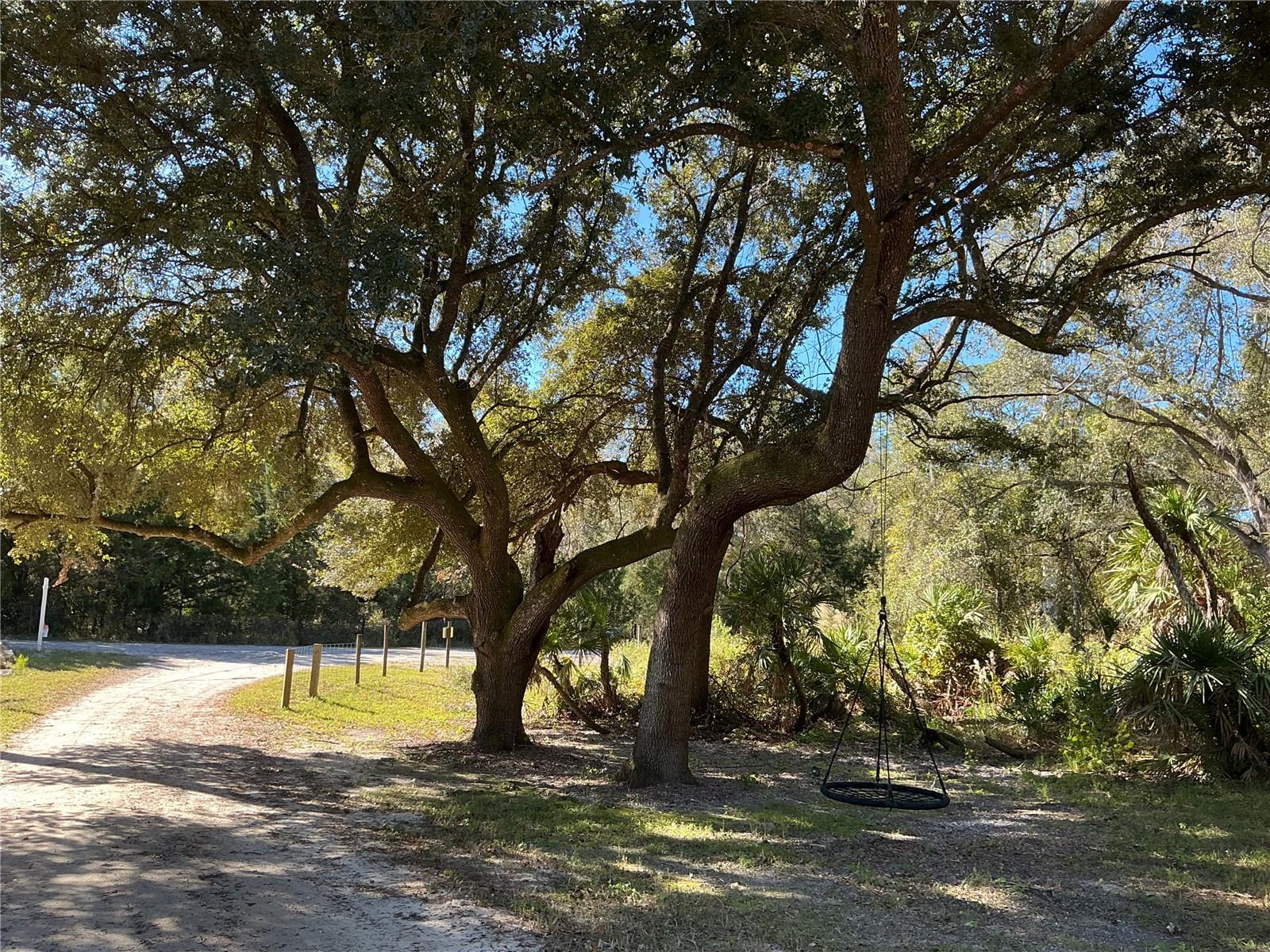 Image 35 of 39 For 2130 Kicklighter Road