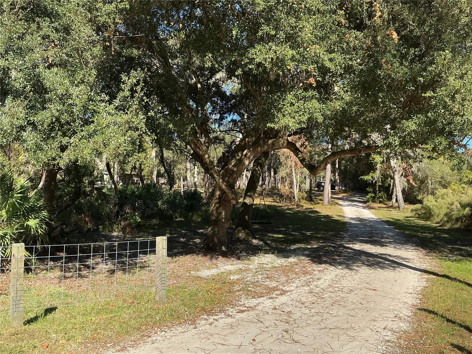 Image 36 of 39 For 2130 Kicklighter Road