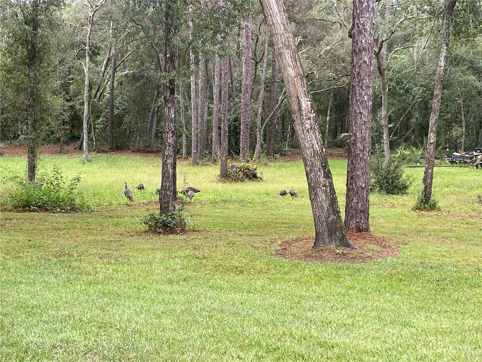 Image 9 of 39 For 2130 Kicklighter Road