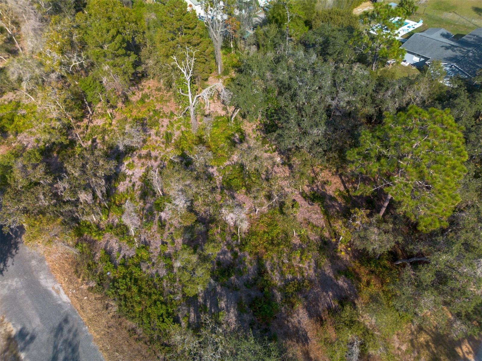 Image 13 of 24 For 605 Lake Butler Avenue