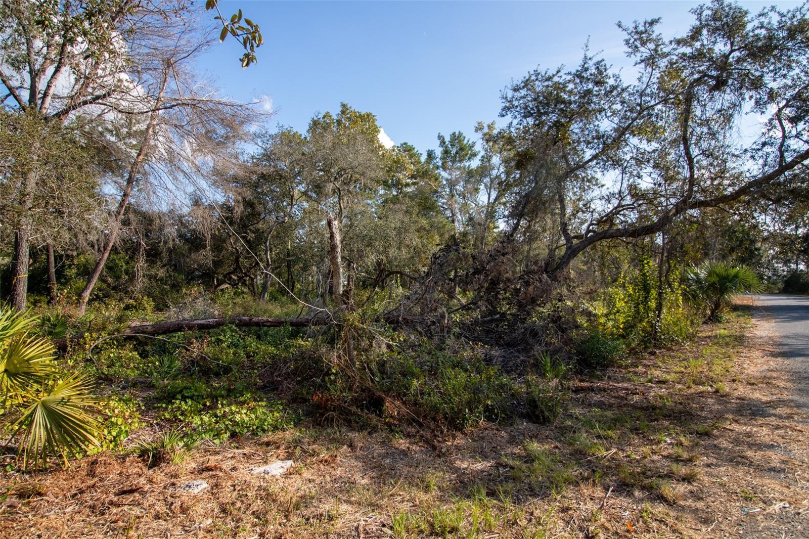 Image 15 of 24 For 605 Lake Butler Avenue