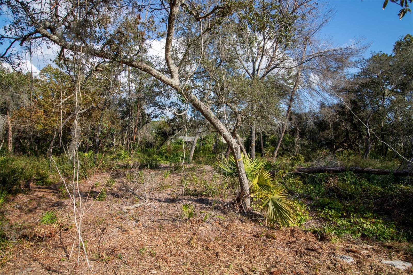 Image 16 of 24 For 605 Lake Butler Avenue