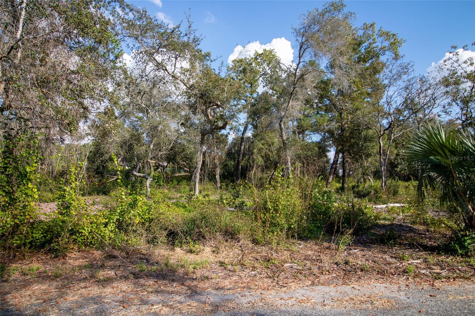 Image 17 of 24 For 605 Lake Butler Avenue