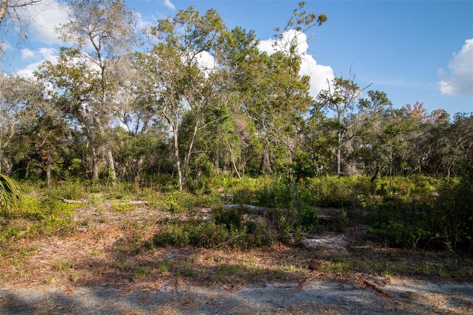 Image 18 of 24 For 605 Lake Butler Avenue