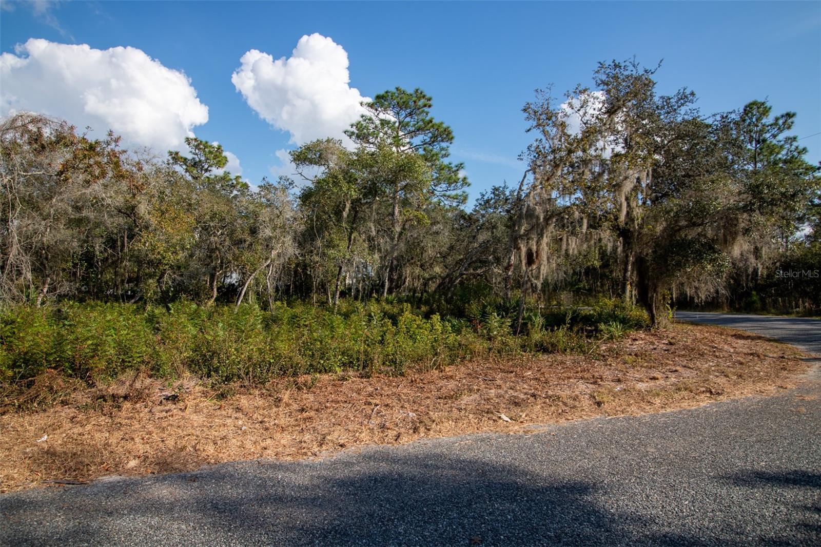 Image 19 of 24 For 605 Lake Butler Avenue