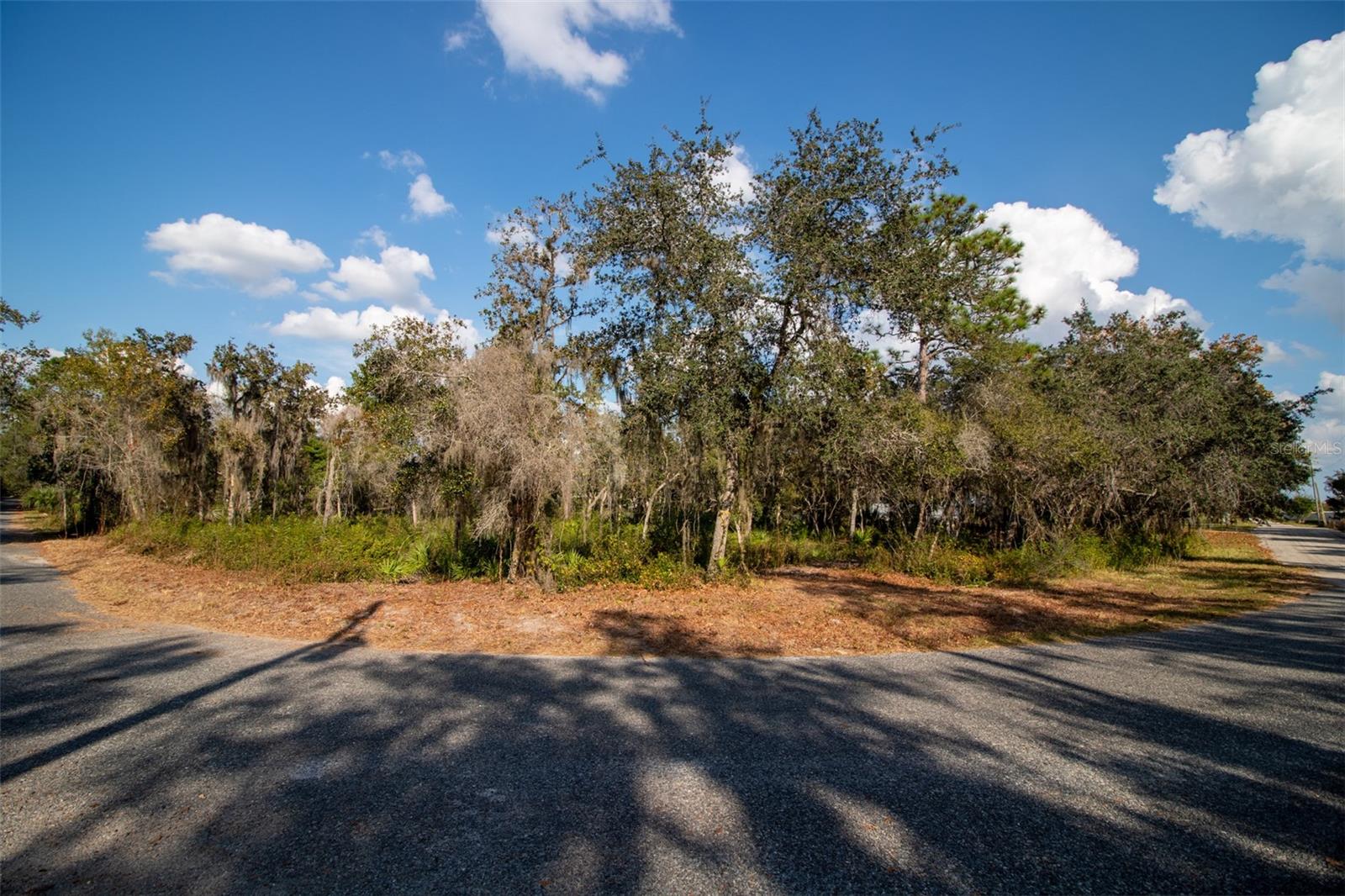 Image 20 of 24 For 605 Lake Butler Avenue