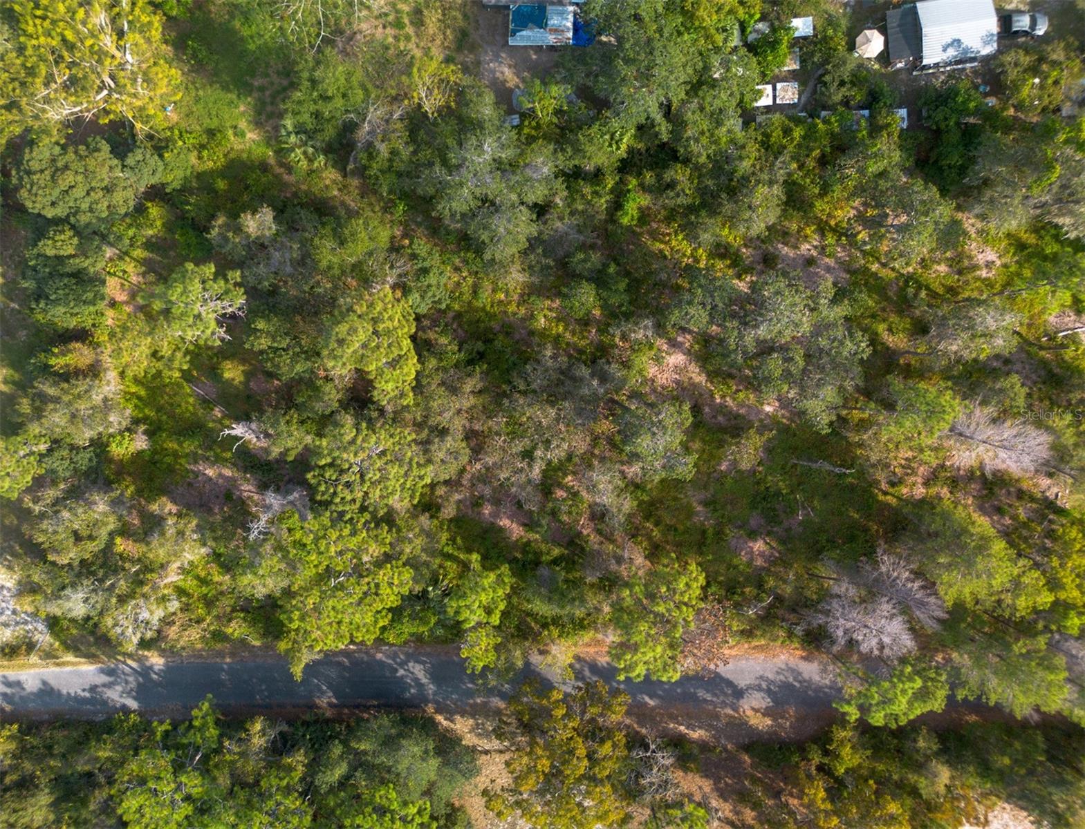 Image 11 of 21 For 625 Lake Butler Avenue