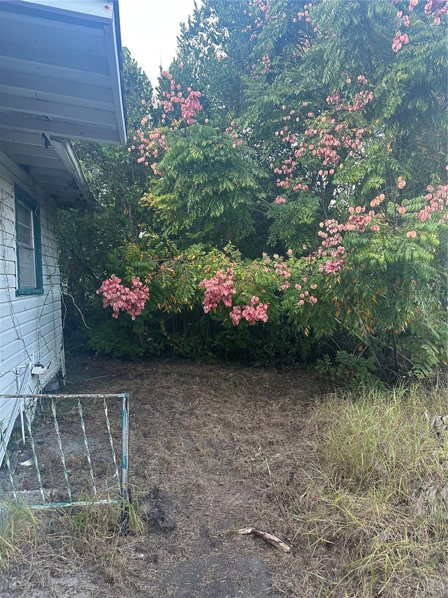 Image 6 of 23 For 511 Bartlett Street