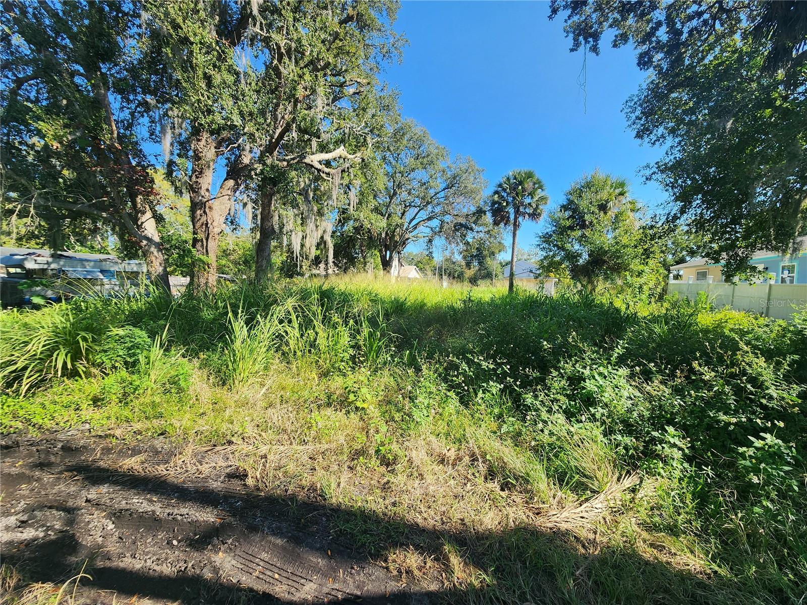 Image 3 of 6 For Roosevelt Avenue