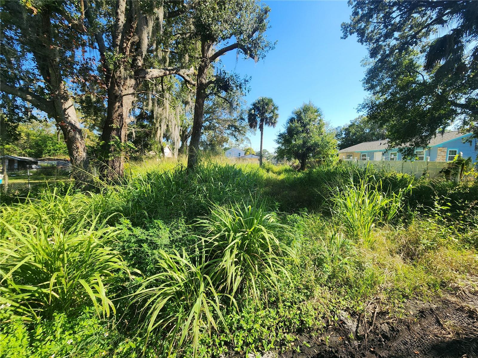 Image 4 of 6 For Roosevelt Avenue