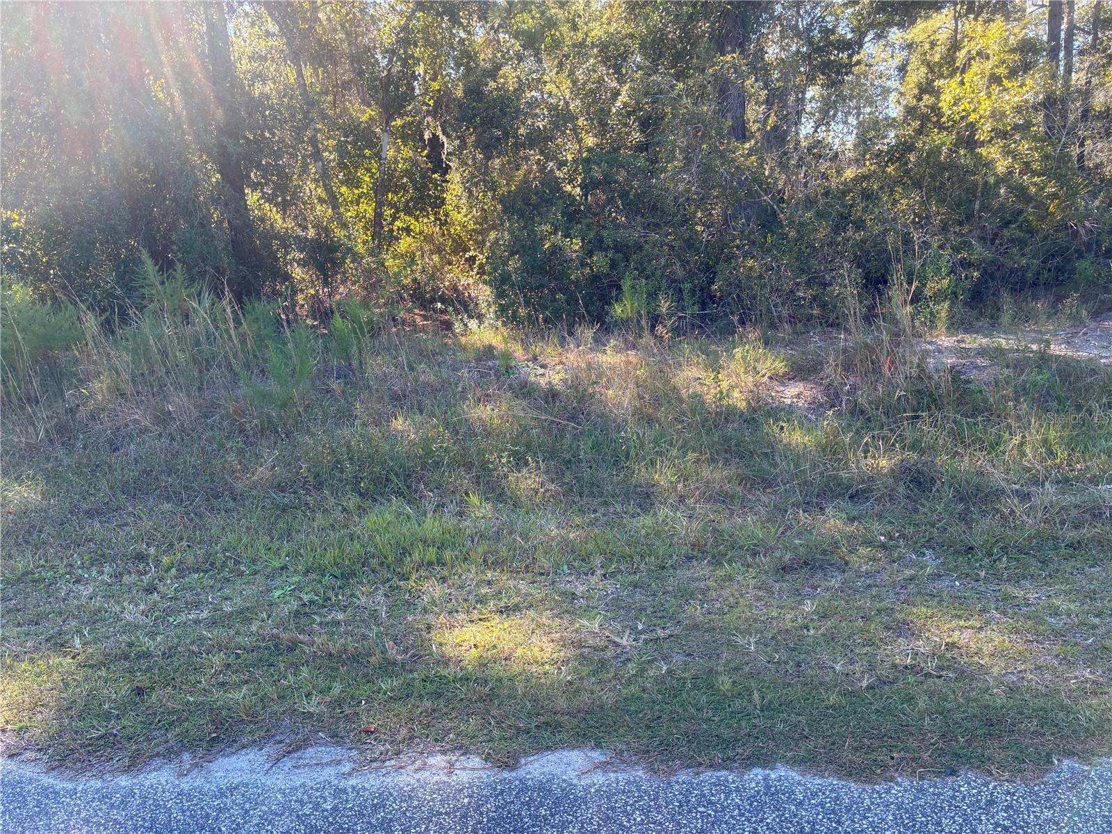 Image 2 of 3 For 525 Live Oak Loop