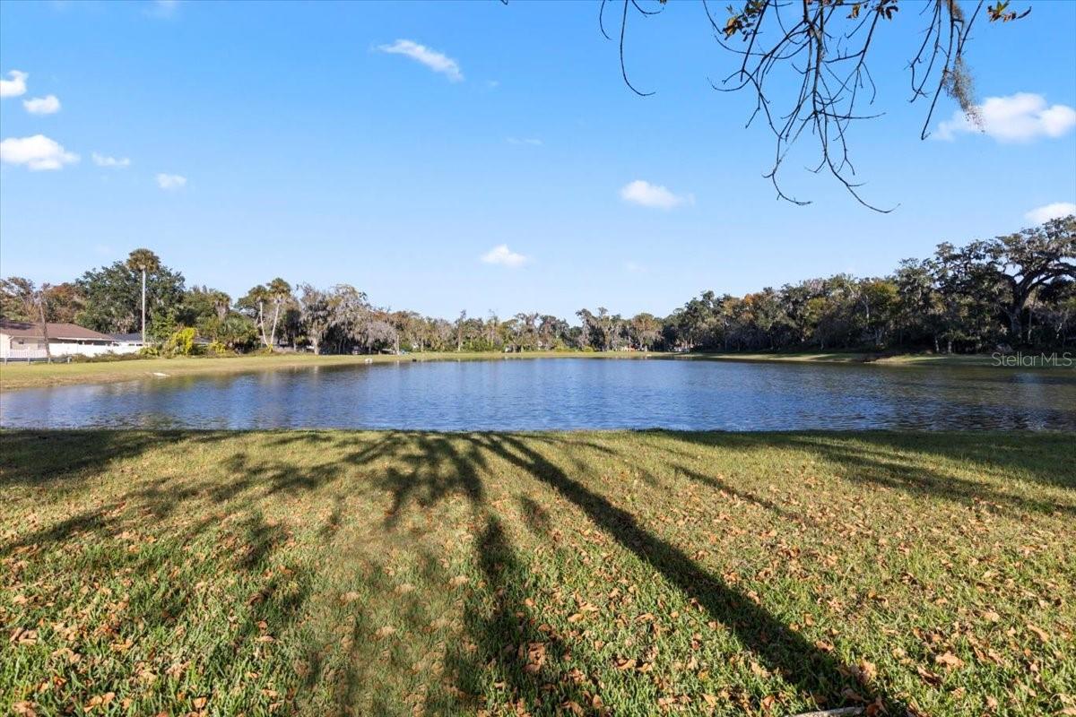 Image 10 of 66 For 1020 Calle Grande Street