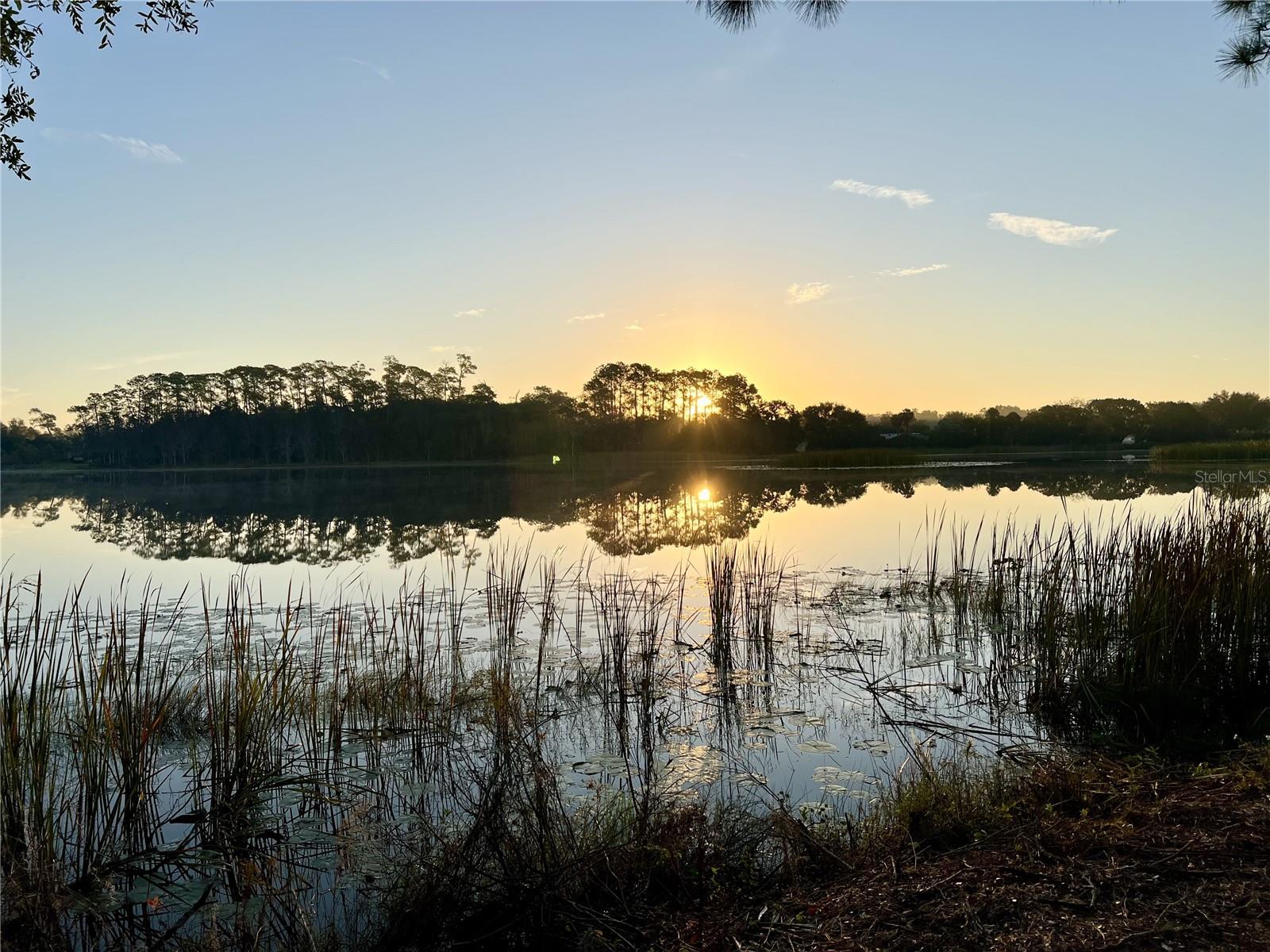 Image 3 of 4 For 1499 Murphy Road