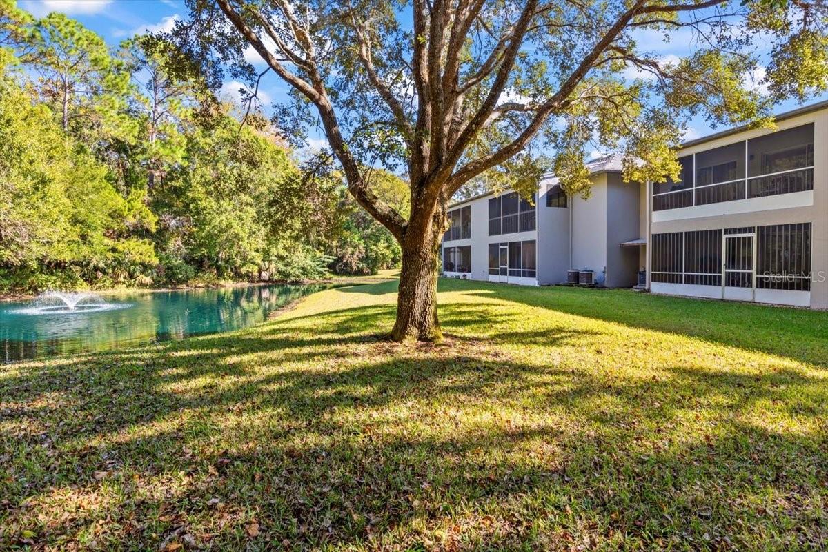 Image 34 of 61 For 203 Orchard Street 6c