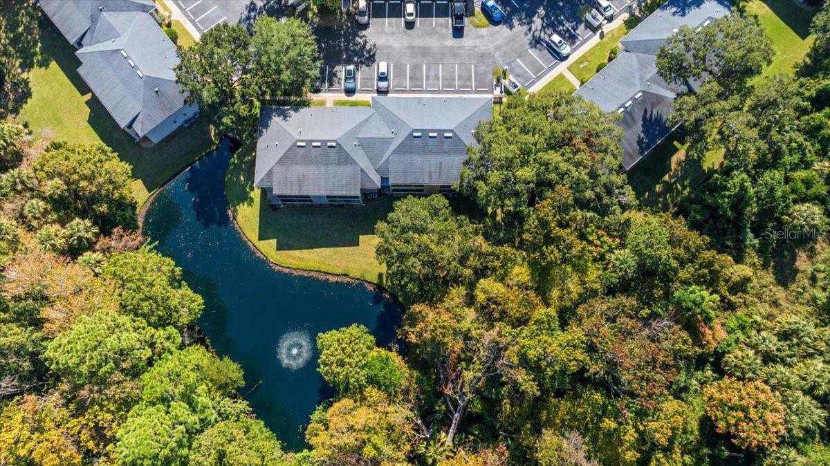 Image 42 of 61 For 203 Orchard Street 6c