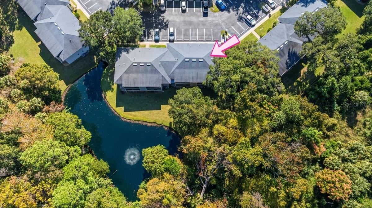 Image 51 of 61 For 203 Orchard Street 6c