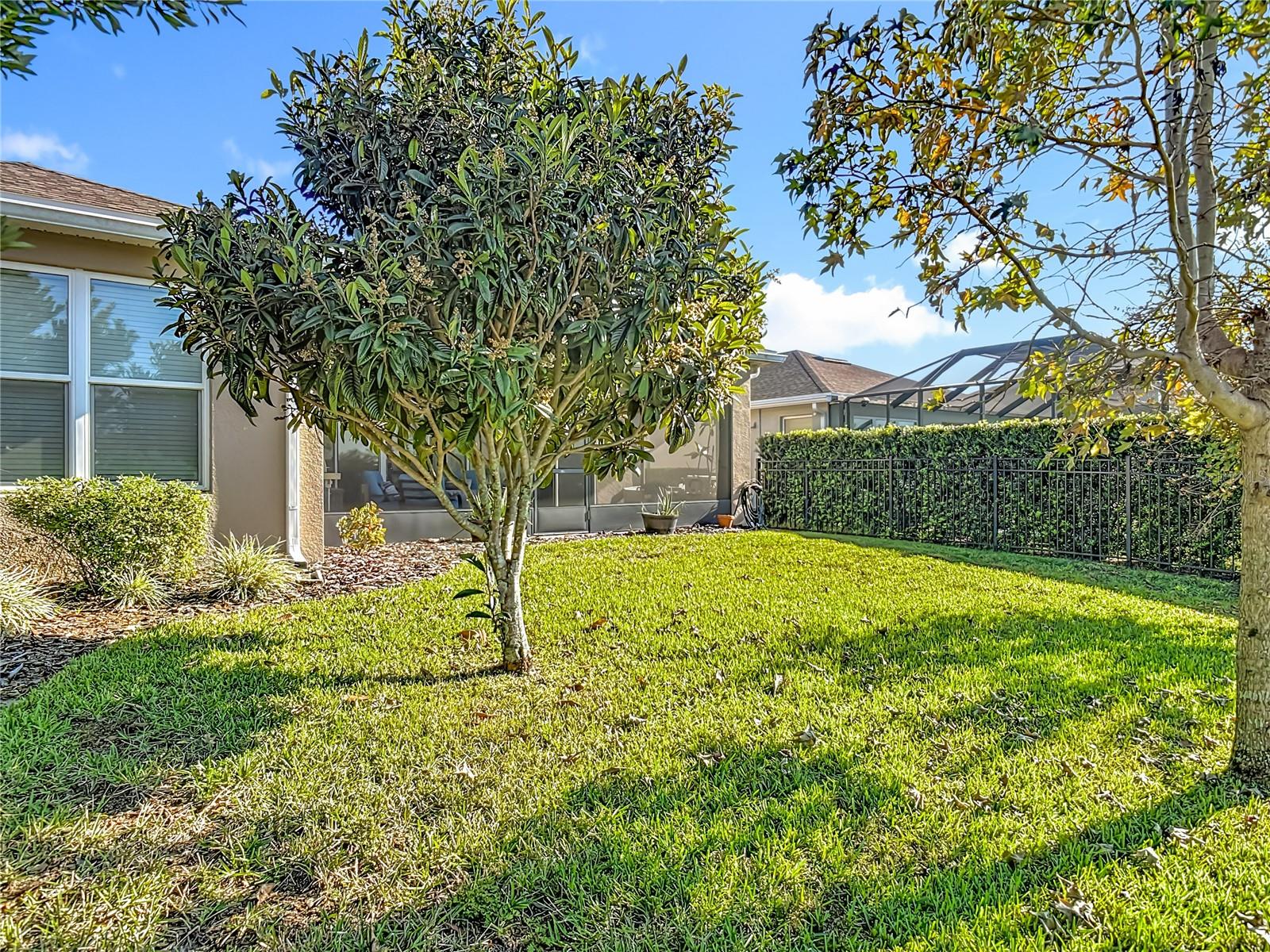 Image 49 of 58 For 512 Adenmore Terrace